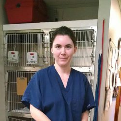 Nicole working at the Veterinary.