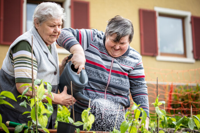 senior mother and her mentally disabled daughter watering plants together with a watering can, concepts like inclusion and healthy nutrition