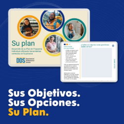 Sus objectivos sus opciones su plan