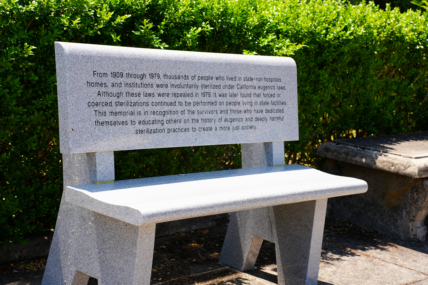Gray bench at Sonoma Developmental Center. Its inscription reads: From 1909 through 1979, thousands of people who lived in state-run hospitals, homes and institutions were involuntarily sterilized under California eugenics laws. Although these laws were repealed in 1979, it was later found that forced or coerced sterilizations continued to be performed on people living in state facilities. This memorial is in recognition of the survivors and those who have dedicated themselves to educating others on the history of eugenics and deeply harmful sterilization practices to create a more just society.