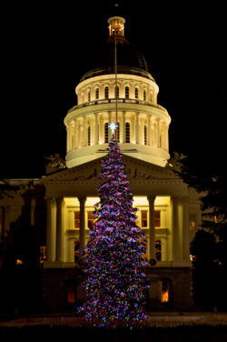 California Capitol holiday tree at night.