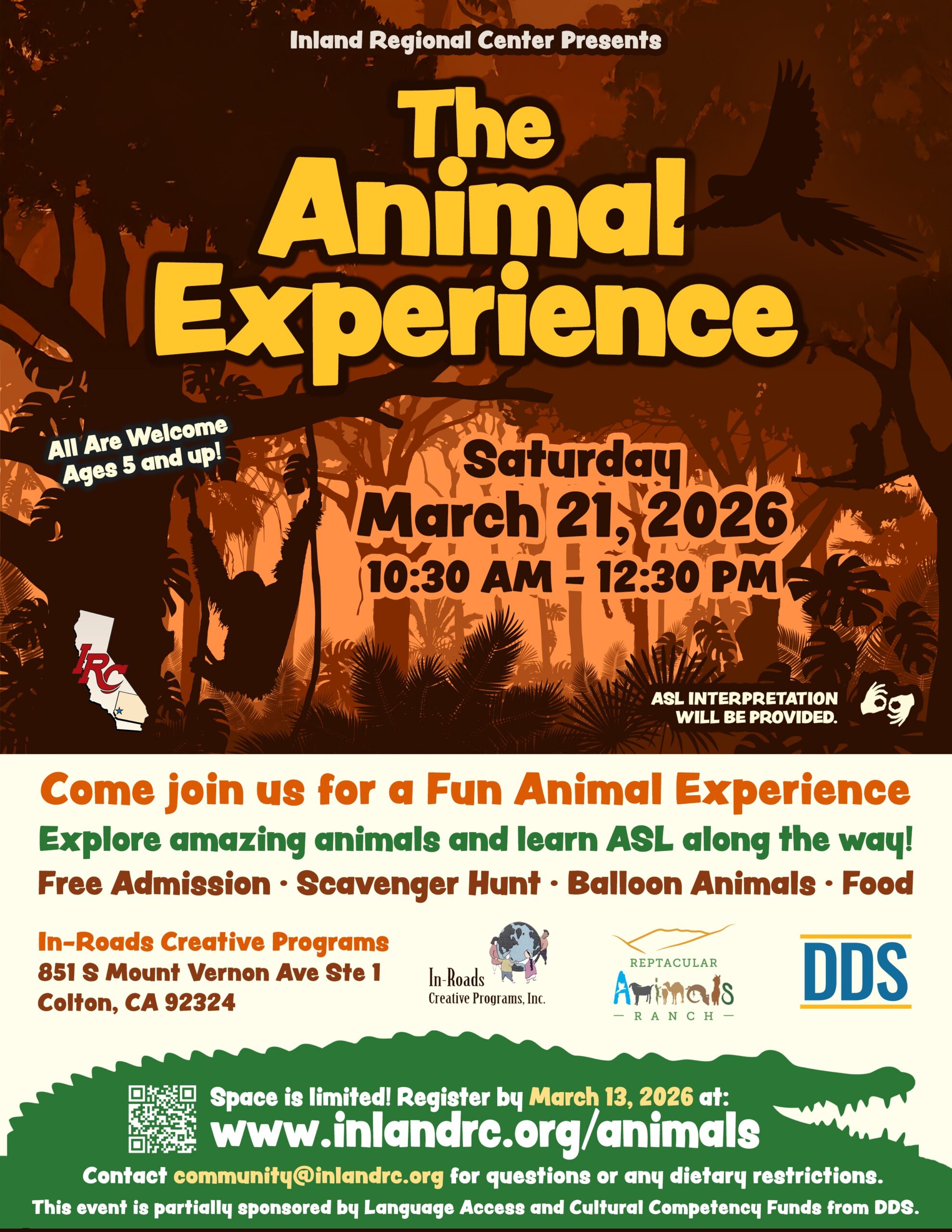 Animal Experience Flyer