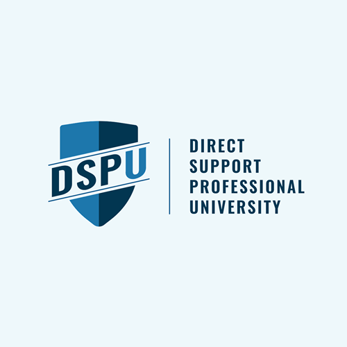 DSP University